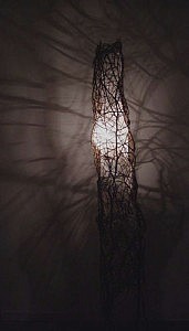 冬の林の中。地面には鋭い梢の陰